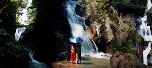 �����ٲ�Ⱥ