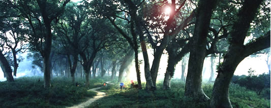 ˮ�Ϲ�����